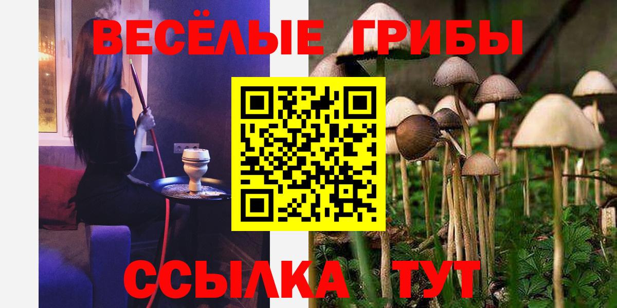 Псилоцибиновые грибы мухоморы  Вход с VPN  Жигулёвск 